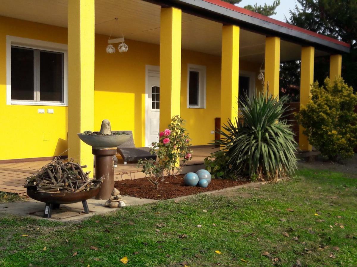 Bungalow At Lake Alte Donau Wenen Buitenkant foto
